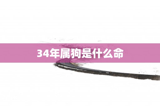 34年属狗是什么命