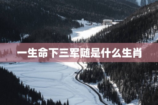 一生命下三军随是什么生肖