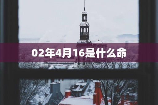 02年4月16是什么命 02年4月16是什么命