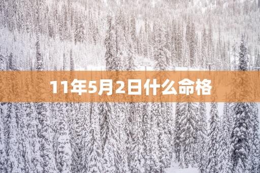 11年5月2日什么命格