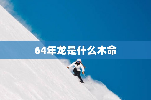 64年龙是什么木命