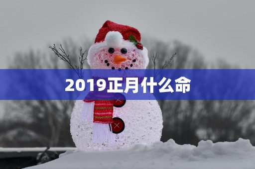 2019正月什么命