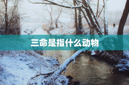 三命是指什么动物