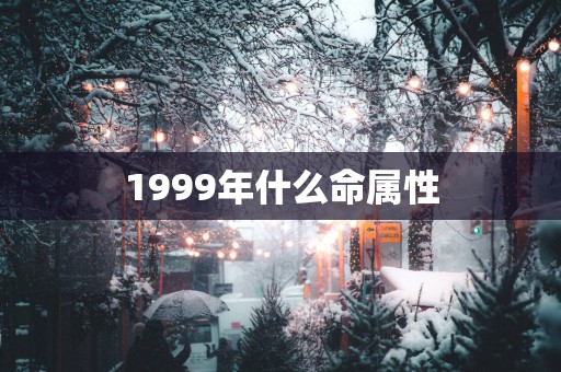 1999年什么命属性