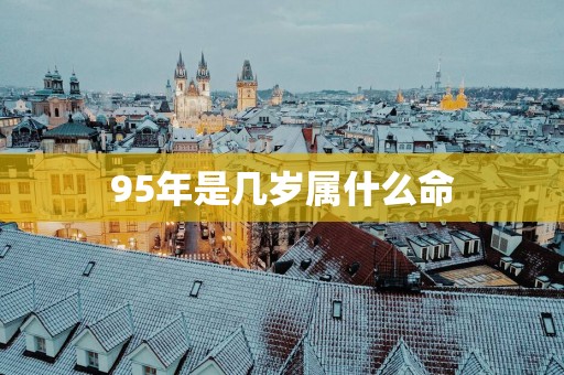 95年是几岁属什么命