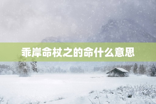 乖岸命杖之的命什么意思