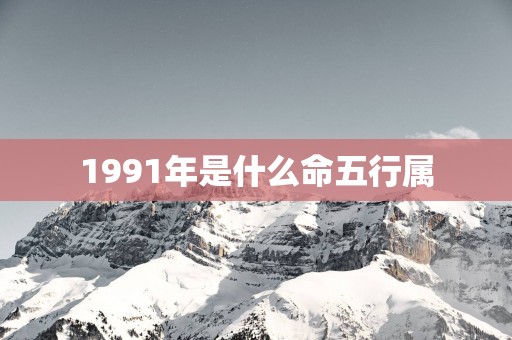 1991年是什么命五行属