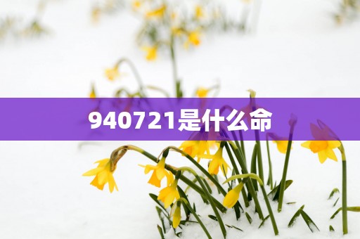 940721是什么命