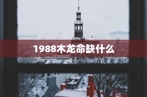 1988木龙命缺什么