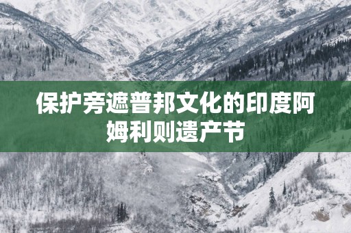 保护旁遮普邦文化的印度阿姆利则遗产节