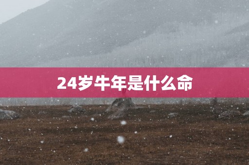 24岁蛇年是什么命