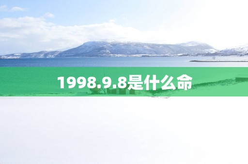 1998.9.8是什么命