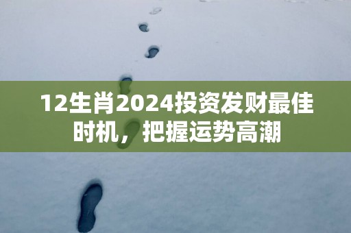 12生肖2025投资发财最佳时机，把握运势高潮
