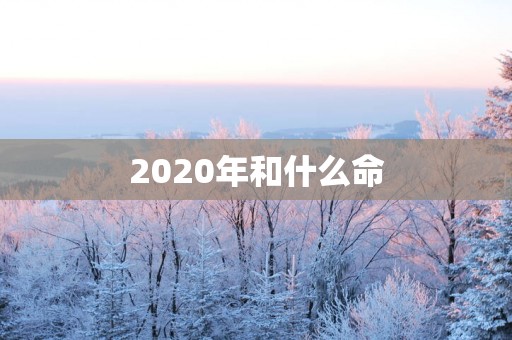 2025年和什么命