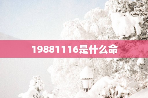 19881116是什么命