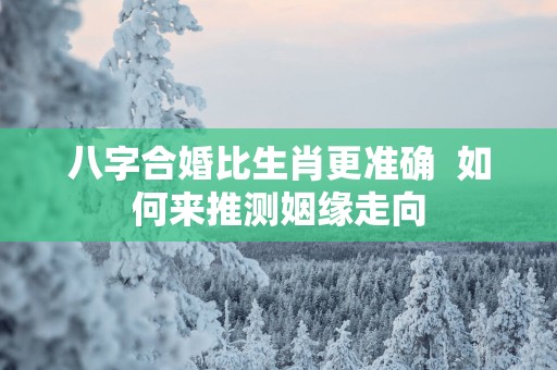 八字合婚比生肖更准确  如何来推测姻缘走向