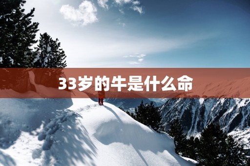 33岁的牛是什么命