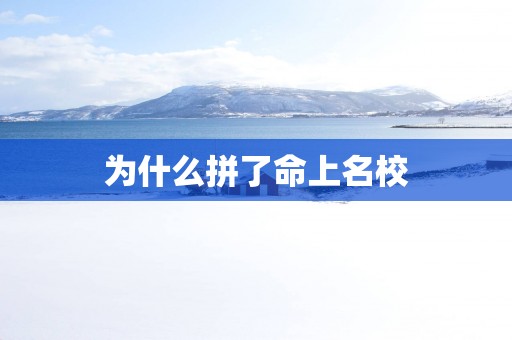 为什么拼了命上名校