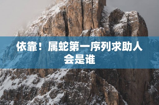 依靠！属蛇第一序列求助人会是谁