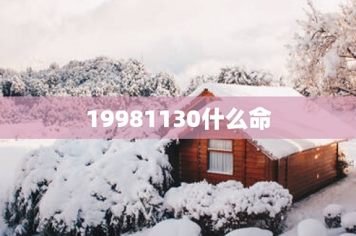 19981130什么命