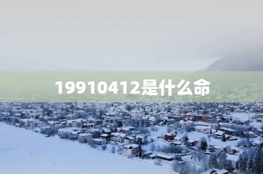 19910412是什么命