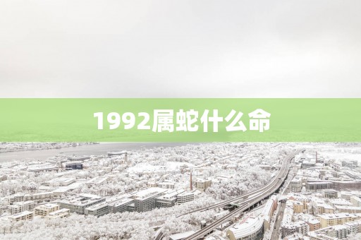 1992属蛇什么命