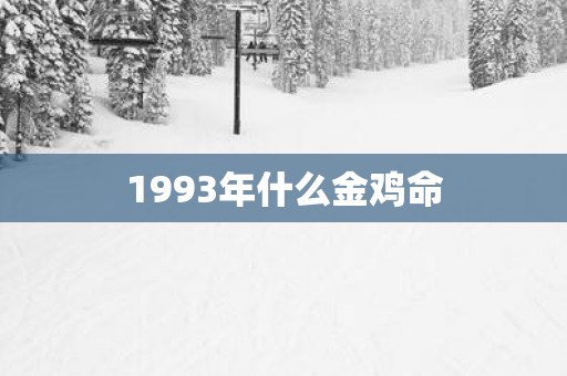 1993年什么金鸡命