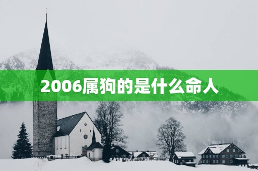 2006属狗的是什么命人