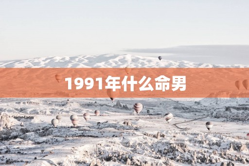 1991年什么命男