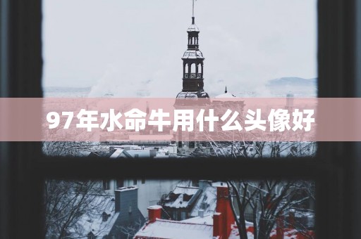 97年水命牛用什么头像好