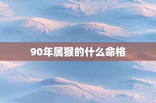 90年属猴的什么命格