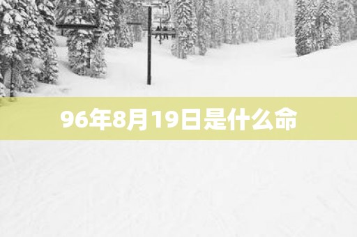 96年8月19日是什么命