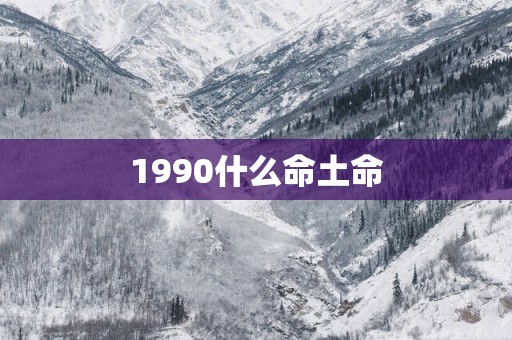 1990什么命土命