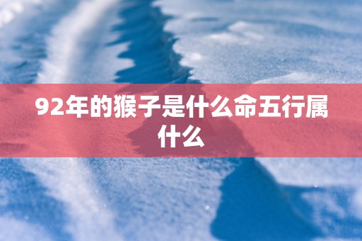 92年的猴子是什么命五行属什么