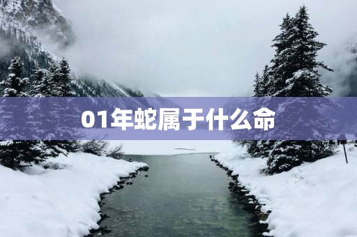 01年蛇属于什么命