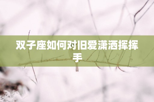 双子座如何对旧爱潇洒挥挥手
