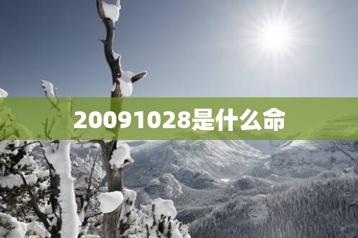 20091028是什么命