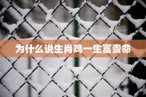 为什么说生肖鸡一生富贵命
