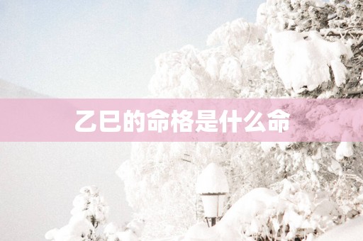 乙巳的命格是什么命