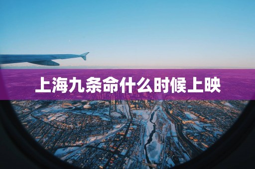 上海九条命什么时候上映