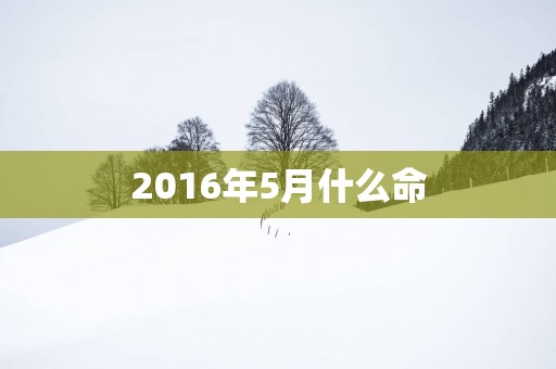 2016年5月什么命