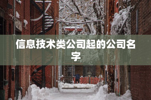 信息技术类公司起的公司名字
