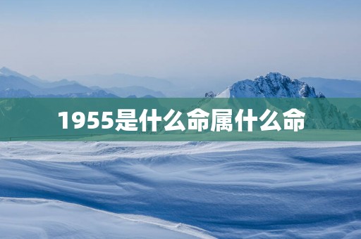 1955是什么命属什么命