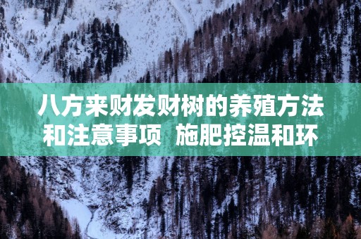 八方来财发财树的养殖方法和注意事项  施肥控温和环境