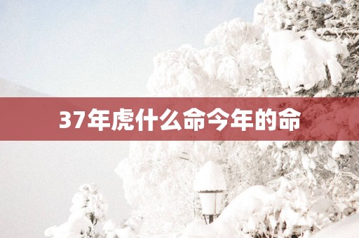 37年虎什么命今年的命