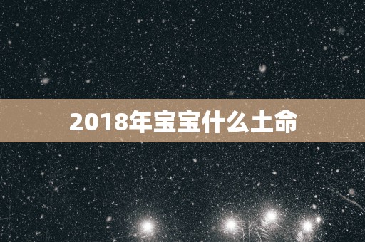 2018年宝宝什么土命