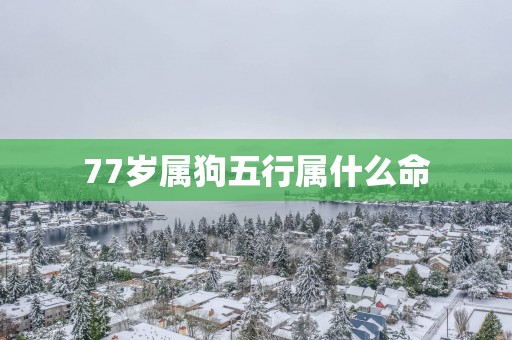 77岁属狗五行属什么命