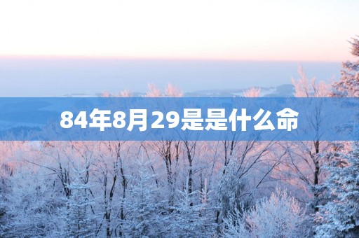 84年8月29是是什么命
