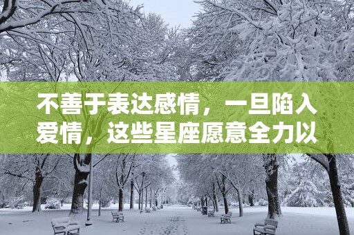 不善于表达感情，一旦陷入爱情，这些星座愿意全力以赴