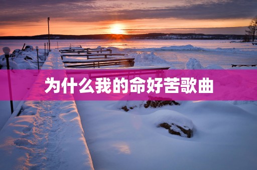 为什么我的命好苦歌曲